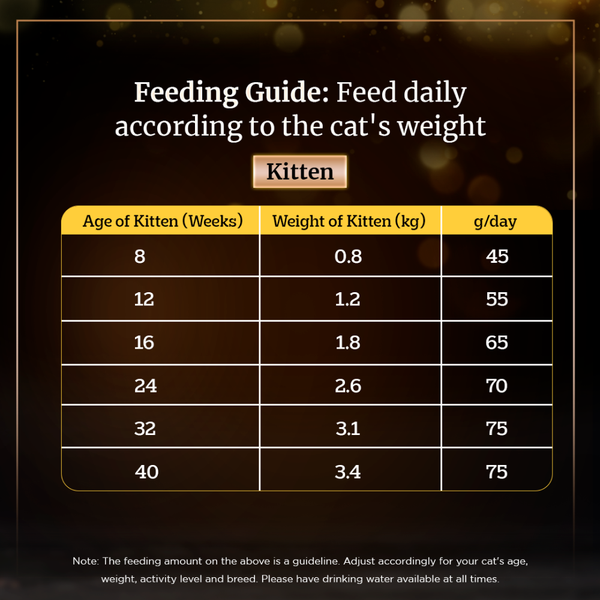 Sheba Salmon Flavour and Chicken Flavour Irresistible All Life Stage Cat Dry Food Combo (Limited Shelf Life)