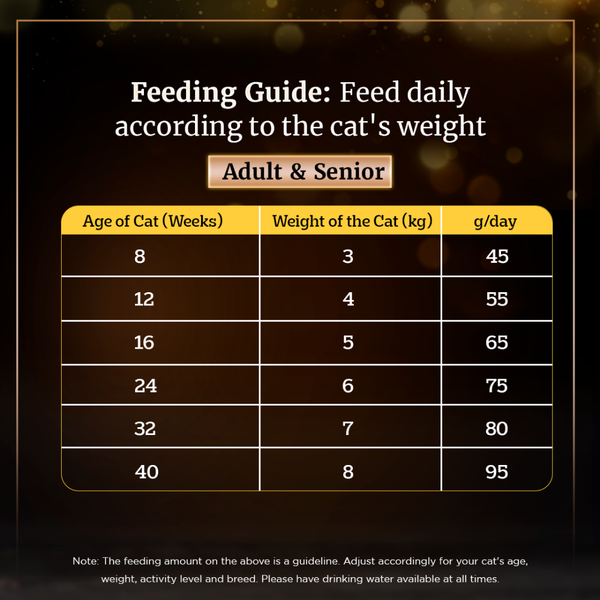 Sheba Skipjack & Salmon Fish Mix Cat Wet Food and Chicken Flavour Irresistible All Life Stage Cat Dry Food Combo