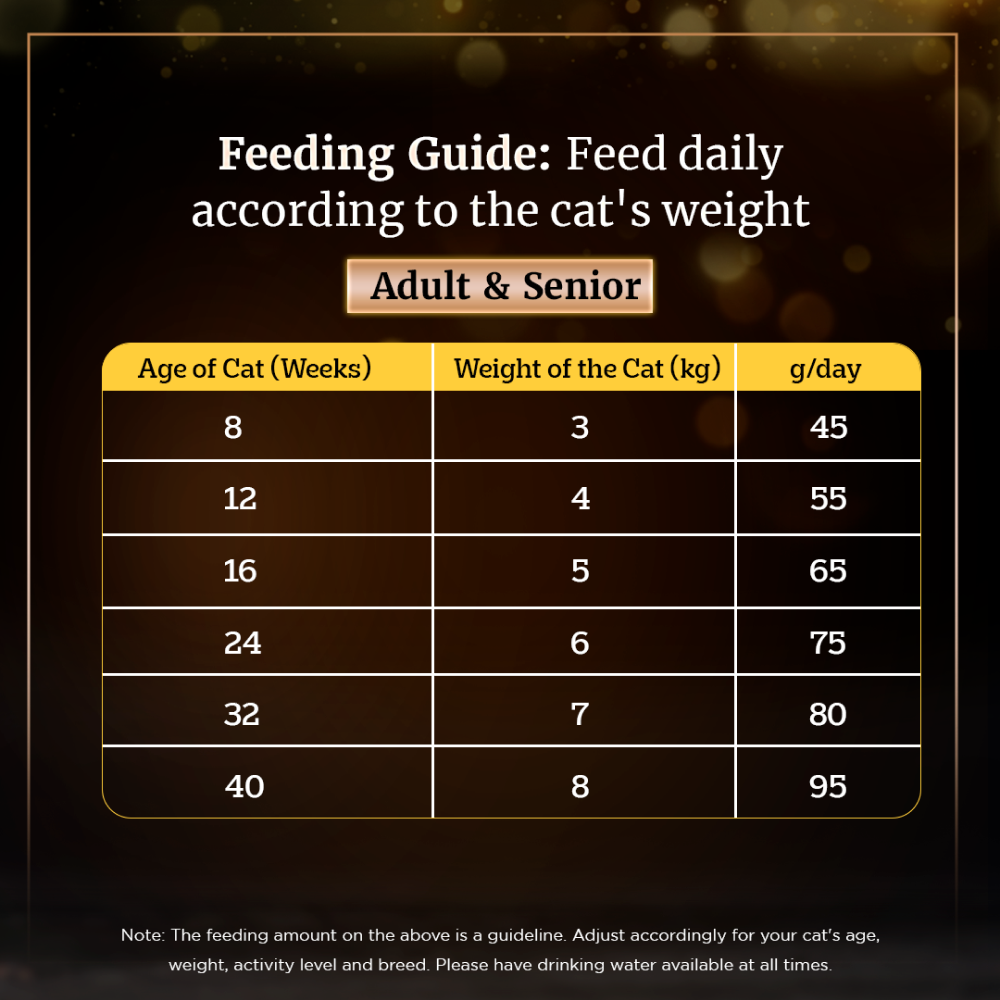 Sheba Chicken Loaf Rich Premium Adult Fine Wet Food and Chicken All Life Stage Cat Dry Food Combo Exclusive Combo Sheba