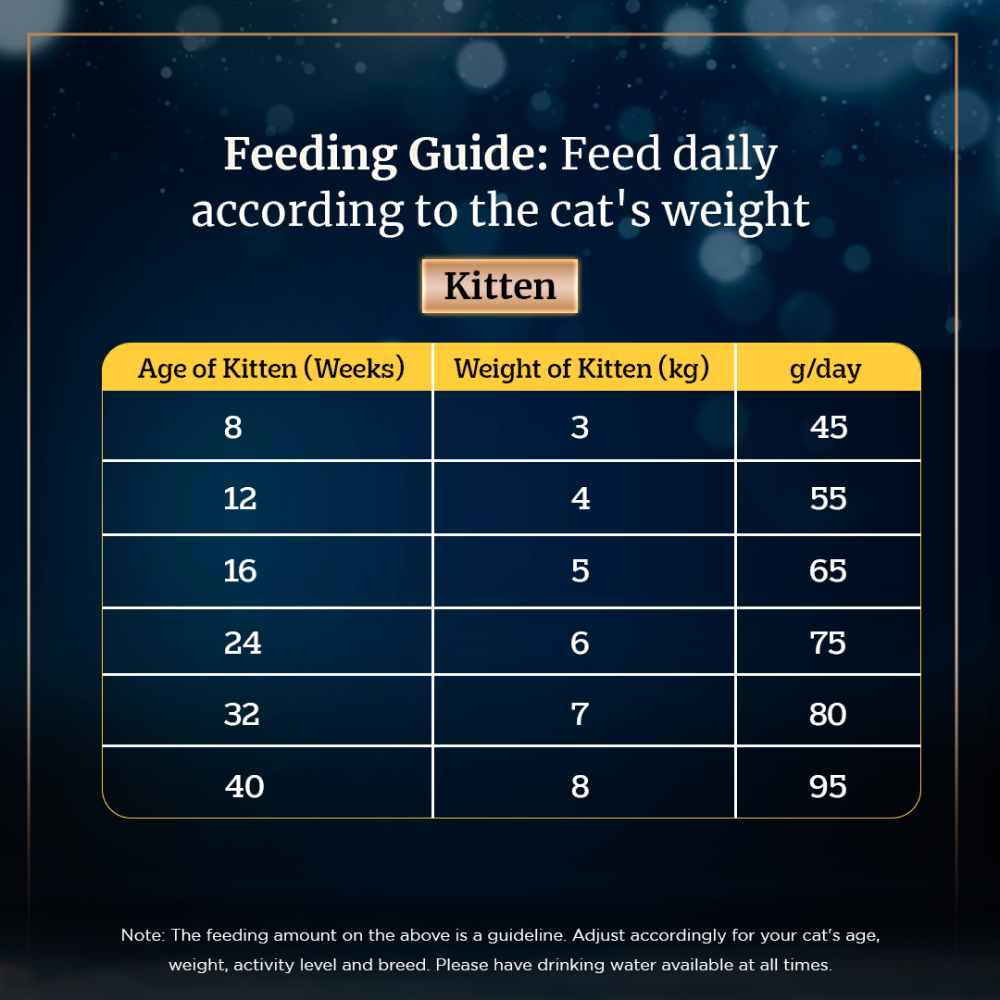 Sheba Tuna Pumpkin & Carrot In Gravy Rich Premium Adult Fine Cat Wet Food and Salmon Flavour Irresistible All Life Stages Cat Dry Food Combo Exclusive Combo Sheba