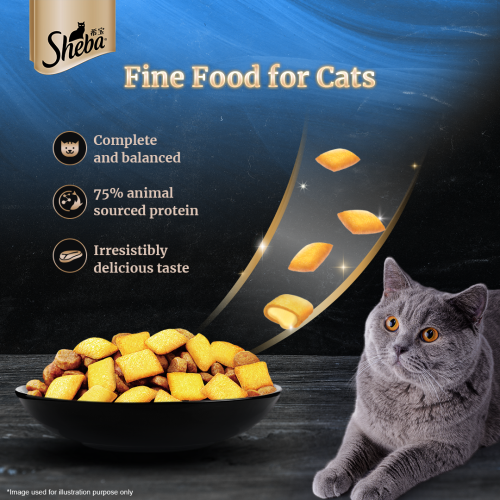 Sheba Tuna Pumpkin & Carrot In Gravy Rich Premium Adult Fine Cat Wet Food and Salmon Flavour Irresistible All Life Stages Cat Dry Food Combo Exclusive Combo Sheba