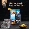 Sheba Salmon Flavour and Chicken Flavour Irresistible All Life Stage Cat Dry Food Combo Cats- Dry food Sheba
