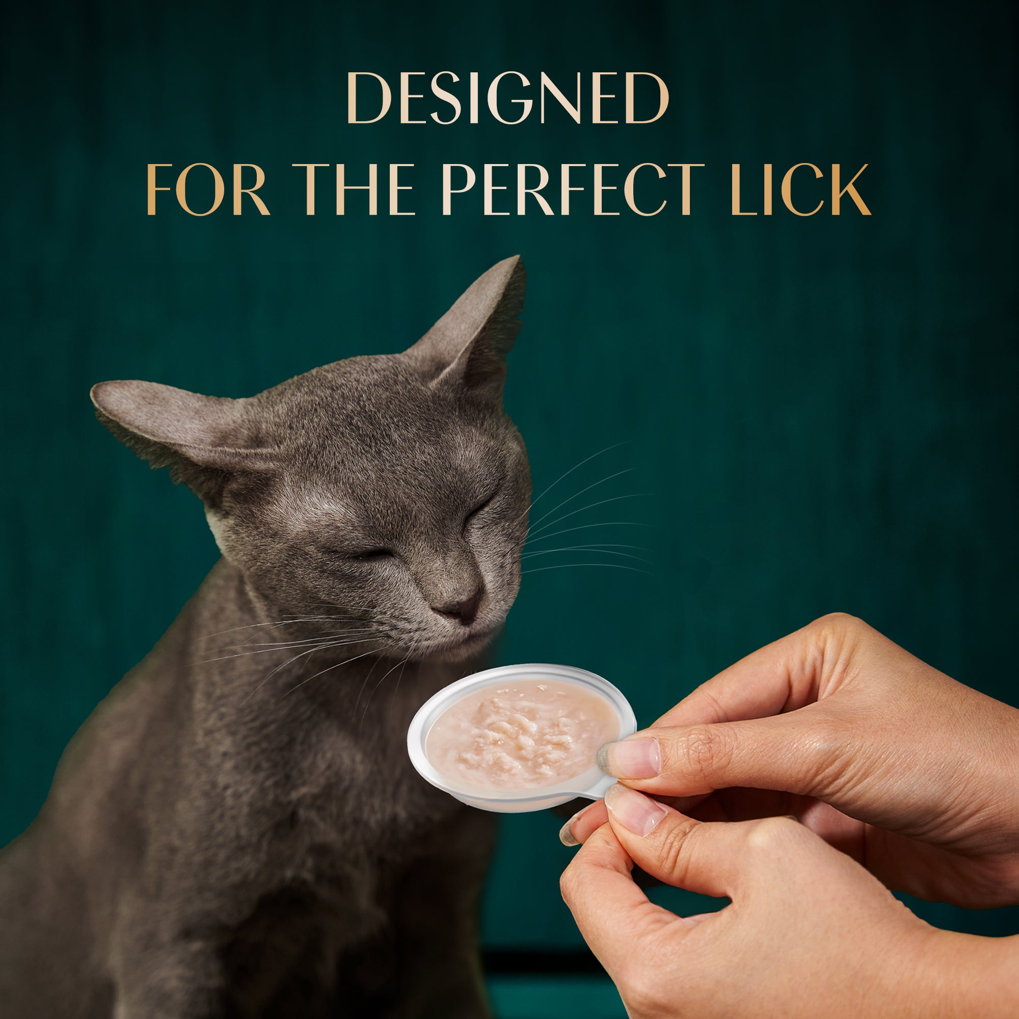 Sheba Melty Spoons Creamy Chicken & Chicken Shred Lickable Creamy Cat Treats Cats-Treats & Others Sheba