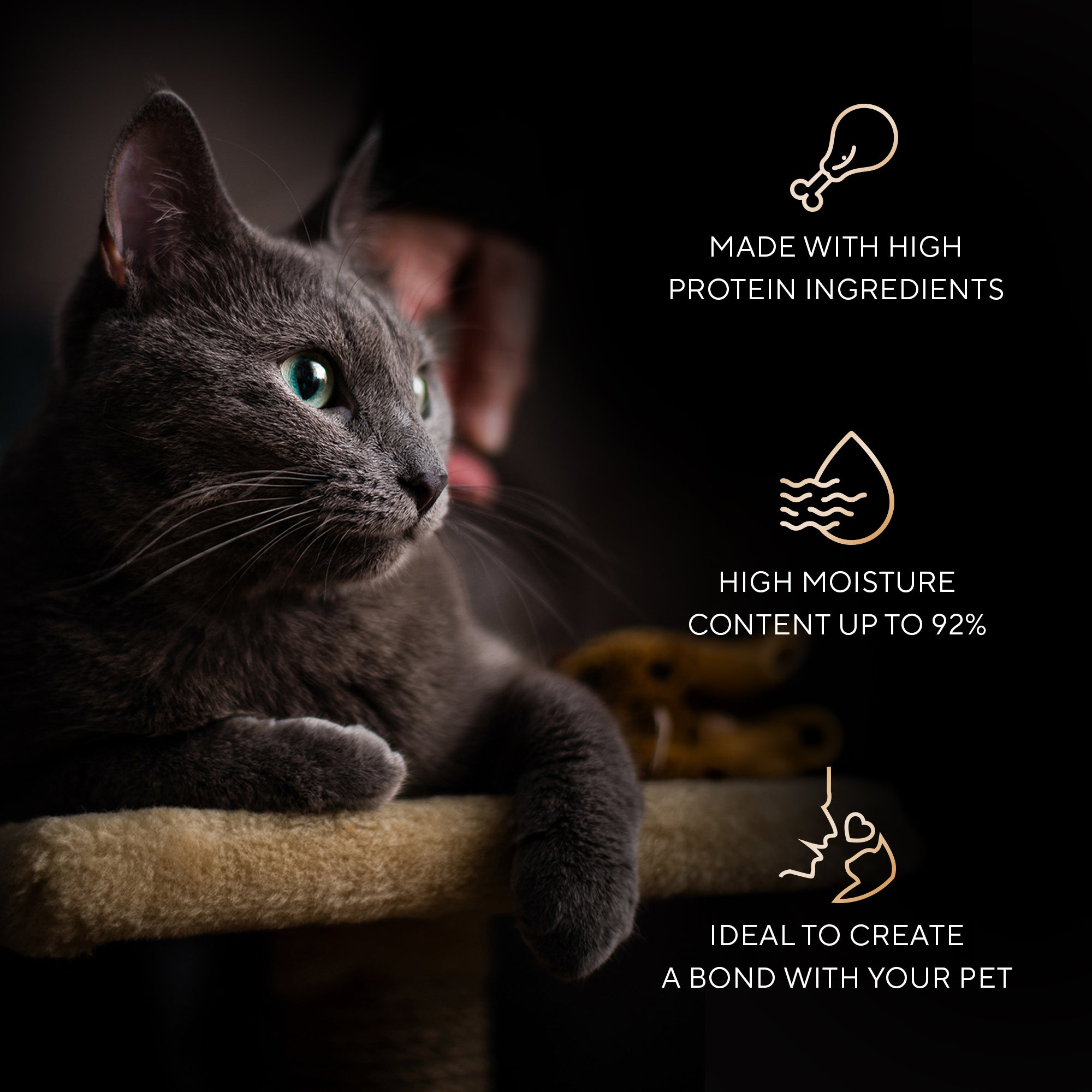 Sheba Melty Spoons Creamy Chicken & Chicken Shred Lickable Creamy Cat Treats Cats-Treats & Others Sheba