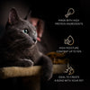 Sheba Melty Spoons Creamy Chicken & Chicken Shred Lickable Creamy Cat Treats Cats-Treats & Others Sheba