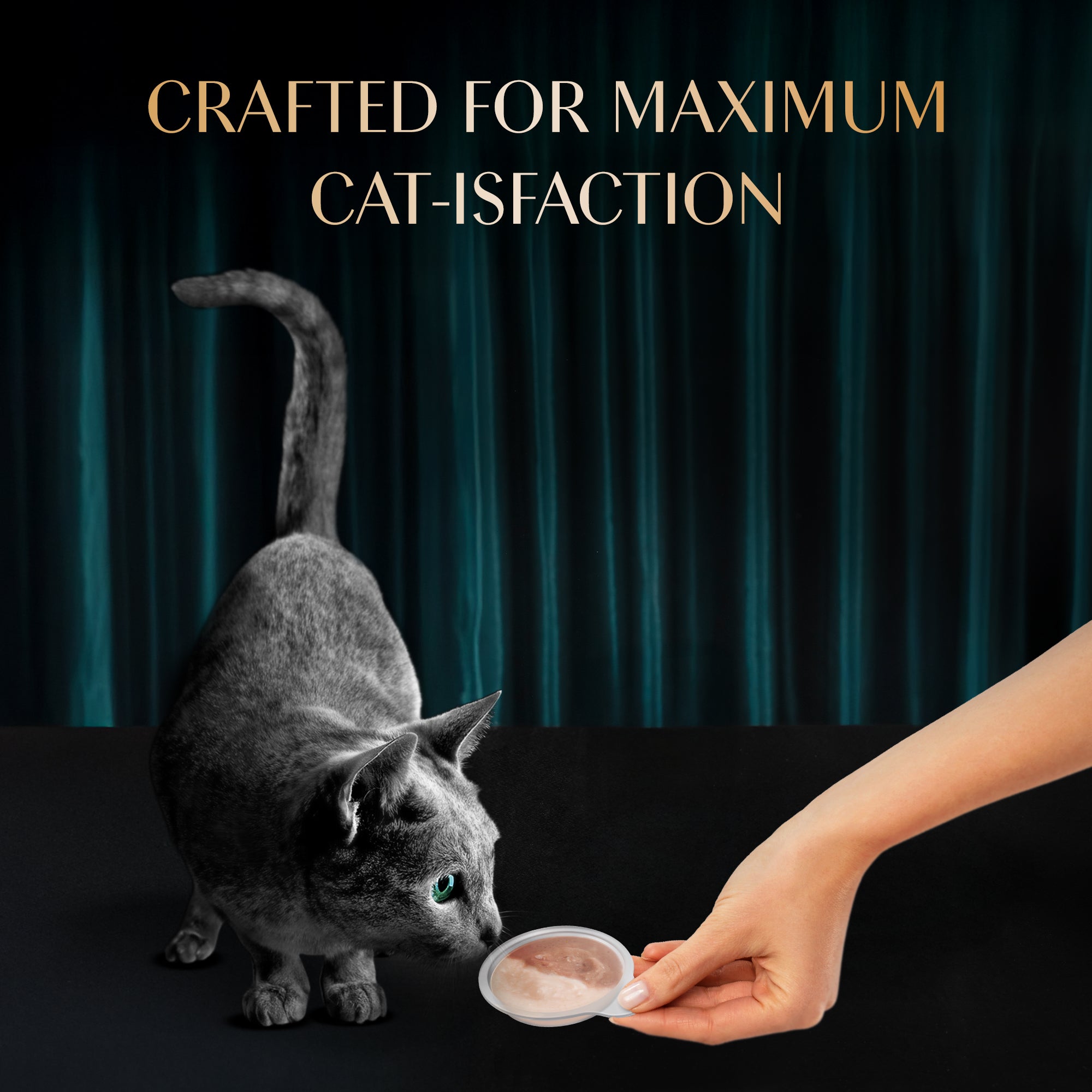 Sheba Melty Spoons Maguro Flavour with Tuna Cream Lickable Creamy Cat Treats Cats-Treats & Others Sheba