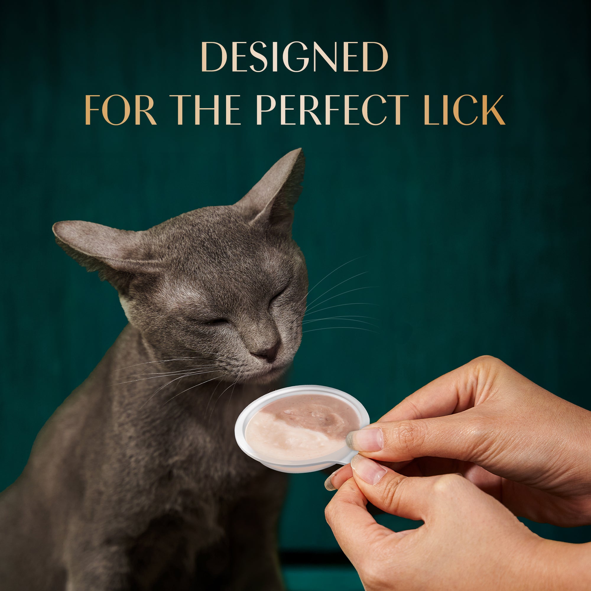 Sheba Melty Spoons Maguro Flavour with Tuna Cream Lickable Creamy Cat Treats Cats-Treats & Others Sheba