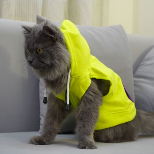 Skatrs Galaxy Breezy Hoodies with Pockets for Dogs and Cats (Green) Both-Clothing & Accessories Skatrs