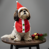 Pawgypets Christmas Bandana for Dogs and Cats Both-Clothing & Accessories Pawgypets Dropship