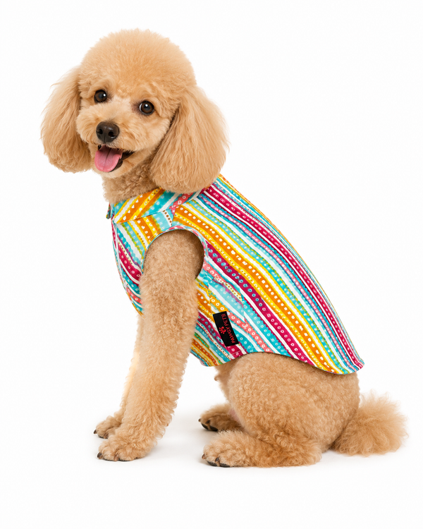 Pawgypets Multi Lehriya & Bandani Kurta for Dogs (Pack of 2)