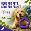 Talking Dog Club Sturdy Hexagon Floater Chew Toy for Dogs (Purple) Dogs-Toys Talking Dog Club Dropship