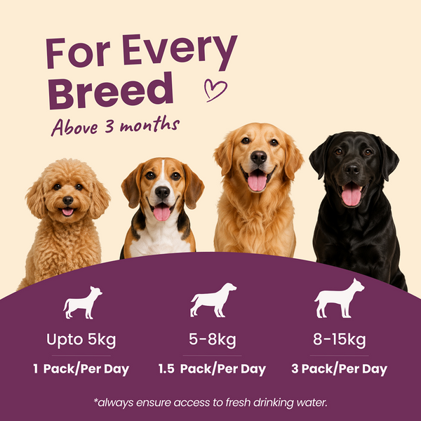 Nootie Nibblr Fresh Wholesome Ready to Eat Meal Daily Chicken Liver Beetroot & Rice Dog Wet Food