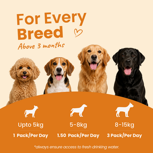 Nootie Nibblr Fresh Wholesome Ready to Eat Meal Daily Chicken Liver with Pumpkin Dog Wet Food