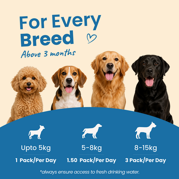 Nootie Nibblr Fresh Wholesome Ready to Eat Meal Daily Chicken Veggie And Rice Dog Wet Food