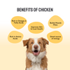 Floof & Co Assorted Cookies, Snappy Sardine and Smoked Chicken JerkyDog Treats Combo Dog Treats + Others Floof & Co