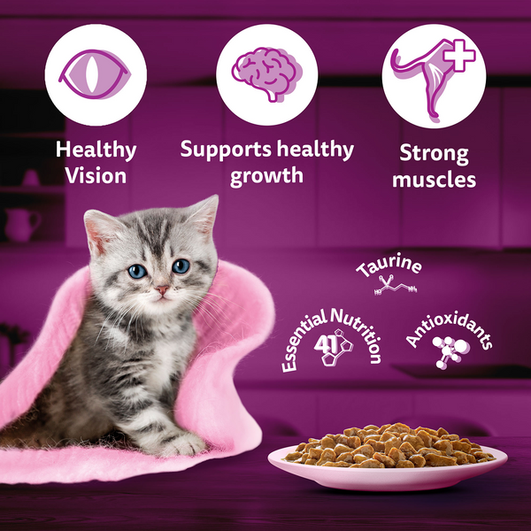 Buy Whiskas Chicken in Gravy Meal Kitten Wet Food Online Supertails