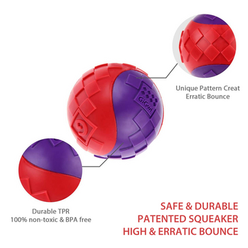 GiGwi Ball Squeaker Toy for Dogs (Red/Purple)