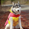 Pet Set Go Splash Waterproof Raincoat for Dogs (Red/Yellow) Dogs-Clothing & Accessories Pet Set Go Dropship