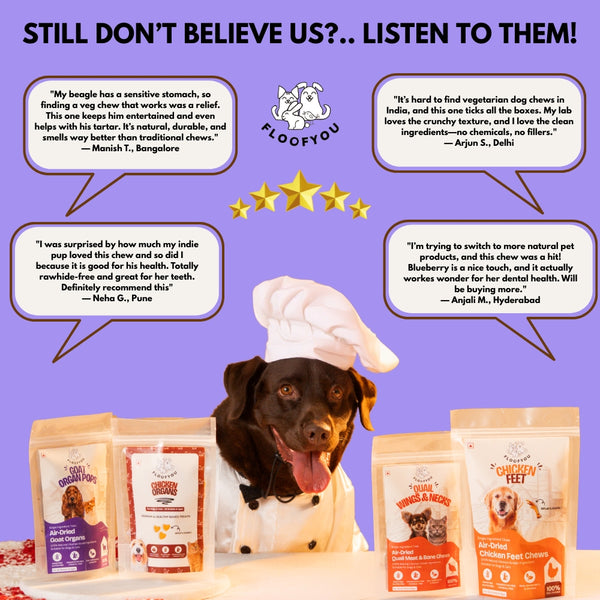 Floofyou Sun Dried Pure Veg Blueberry Yak Chew Bars Dental Dog Treats