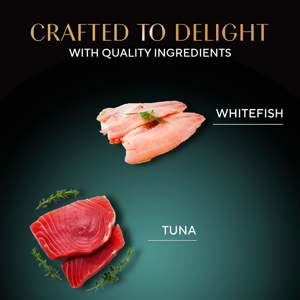 Sheba Pure Tuna Filets in Jelly Premium Cat Wet Food Cats-Wet Food Sheba