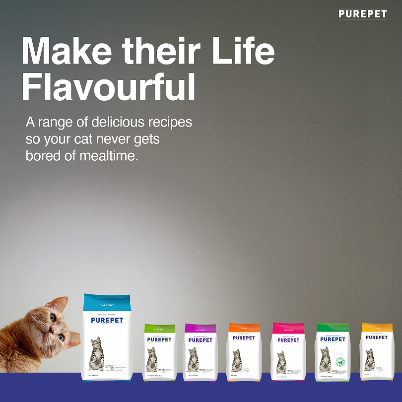 Purepet Ocean Fish Adult Cat Dry Food Cats- Dry food Purepet