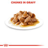Royal Canin Maxi Adult Dog Wet Food Dogs-Wet Food Royal Canin