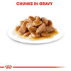 Royal Canin Mini Adult Gravy Dog Wet Food Dogs-Wet Food Royal Canin