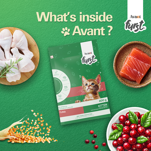 Avant Furst Tuna Fish Flavour Kitten Cat Dry Food