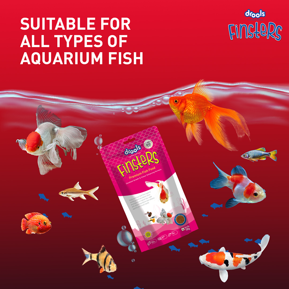 Drools Finsters Premium Fish Food Fish Drools Finisters