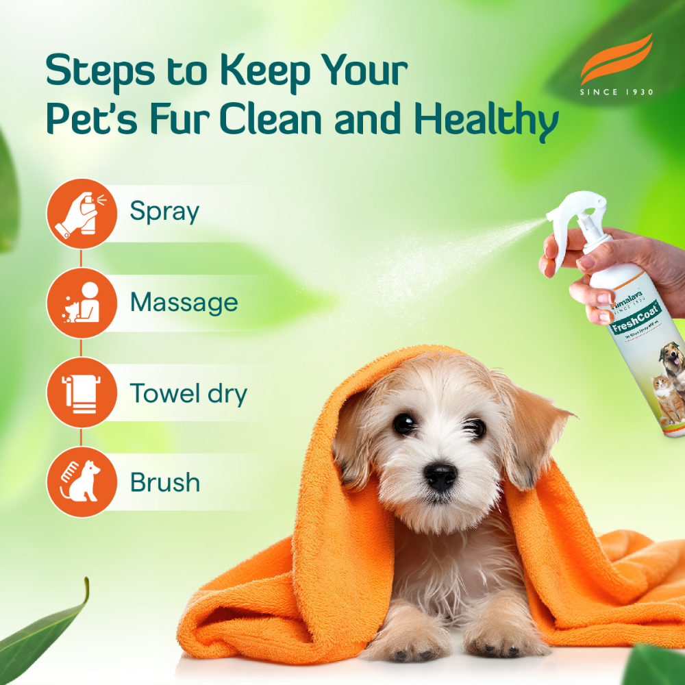 Himalaya Fresh Coat No Rinse Spray & Furlicks Gut Health Supplement Dog & Cat Combo Exclusive Combo Exclusive Combo