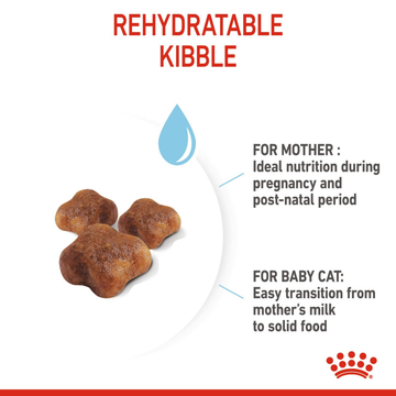 Royal Canin Mother & Babycat Cat Dry Food