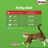 Kitekat Ocean Fish Kitten Dry Food Cats- Dry food Kitekat