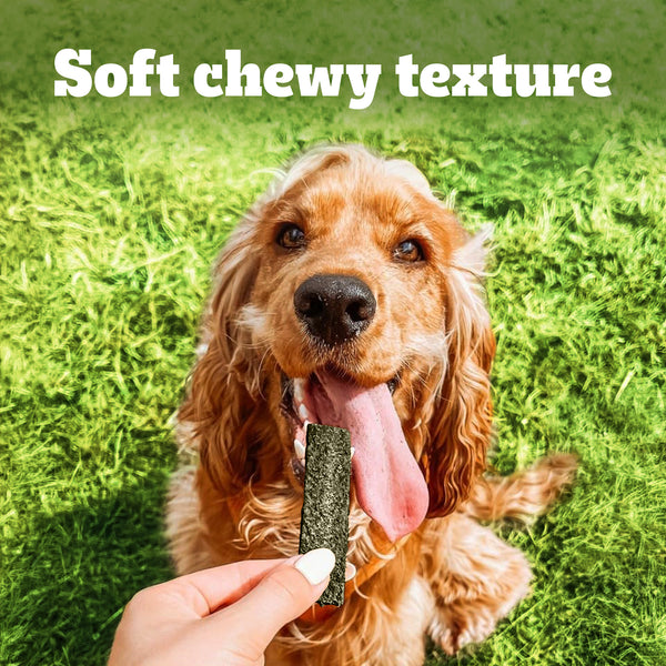 Pedigree Cheese & Spinach Tasty Jerky Dog Treats