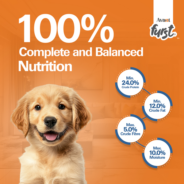 Avant Furst Chicken and Vegetable Puppy Dry Food