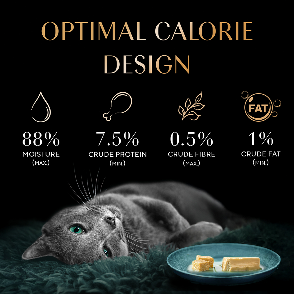 Sheba Maguro Pate Rich Premium Adult Fine Cat Wet Food Cats-Wet Food Sheba
