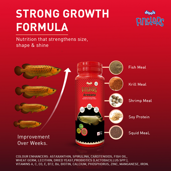 Drools Finsters Arowana Fish Food