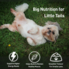 Homiee & Ginger Grain Free Mini Meals Surf & Turf, Fish Feista, Chicken & Barley Food for Dogs Combo Dogs-Wet Food Homiee & Ginger