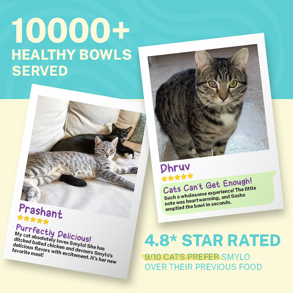 Smylo Tuna, Salmon & Pumpkin and Smylo Mackerel, Kanikama and Cranberry Adult Cat Wet Food Combo Cats-Wet Food Smylo