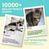 Smylo Tuna, Salmon & Pumpkin and Smylo Mackerel, Kanikama and Cranberry Adult Cat Wet Food Combo Cats-Wet Food Smylo