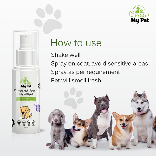 Groom My Pet Lavender and Jasmine Pampered Pooch Cologne for Dogs