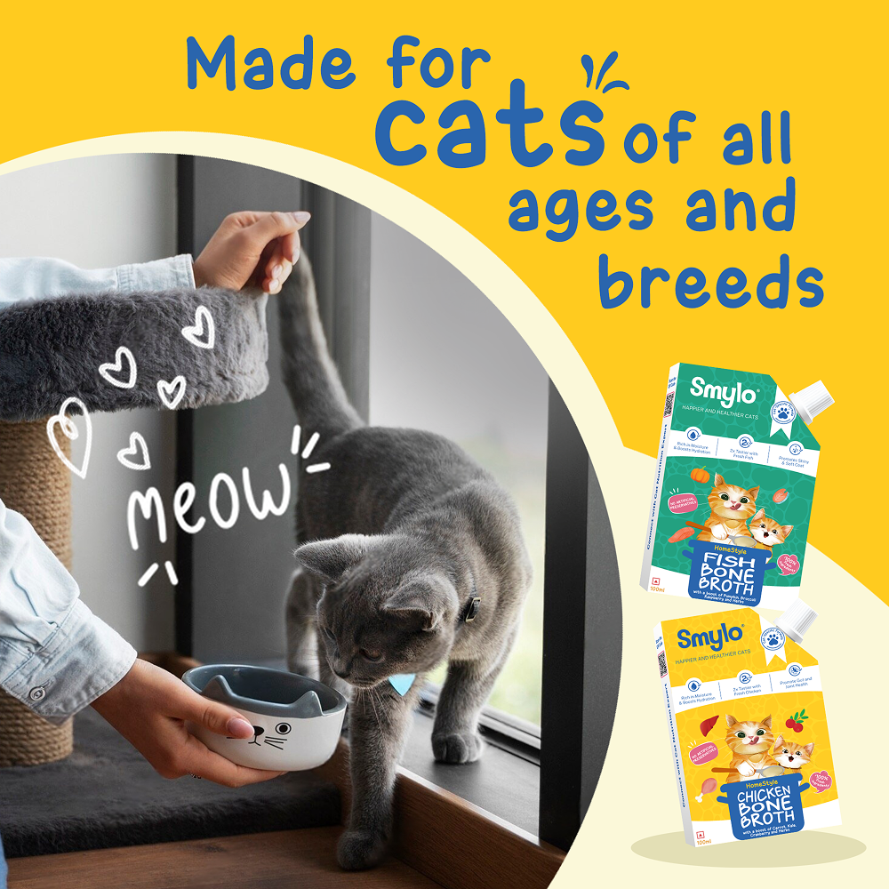Smylo Hydration Rich Chicken with Carrot, Kale and Cranberry Bone Broth for Cats Cats-Wet Food Smylo