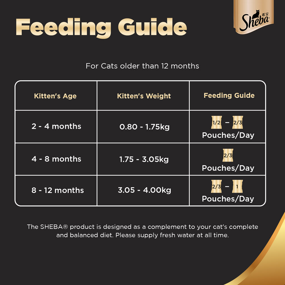 Sheba Chicken Loaf Rich Premium Kitten (2 to 12 Months) Fine Cat Wet Food