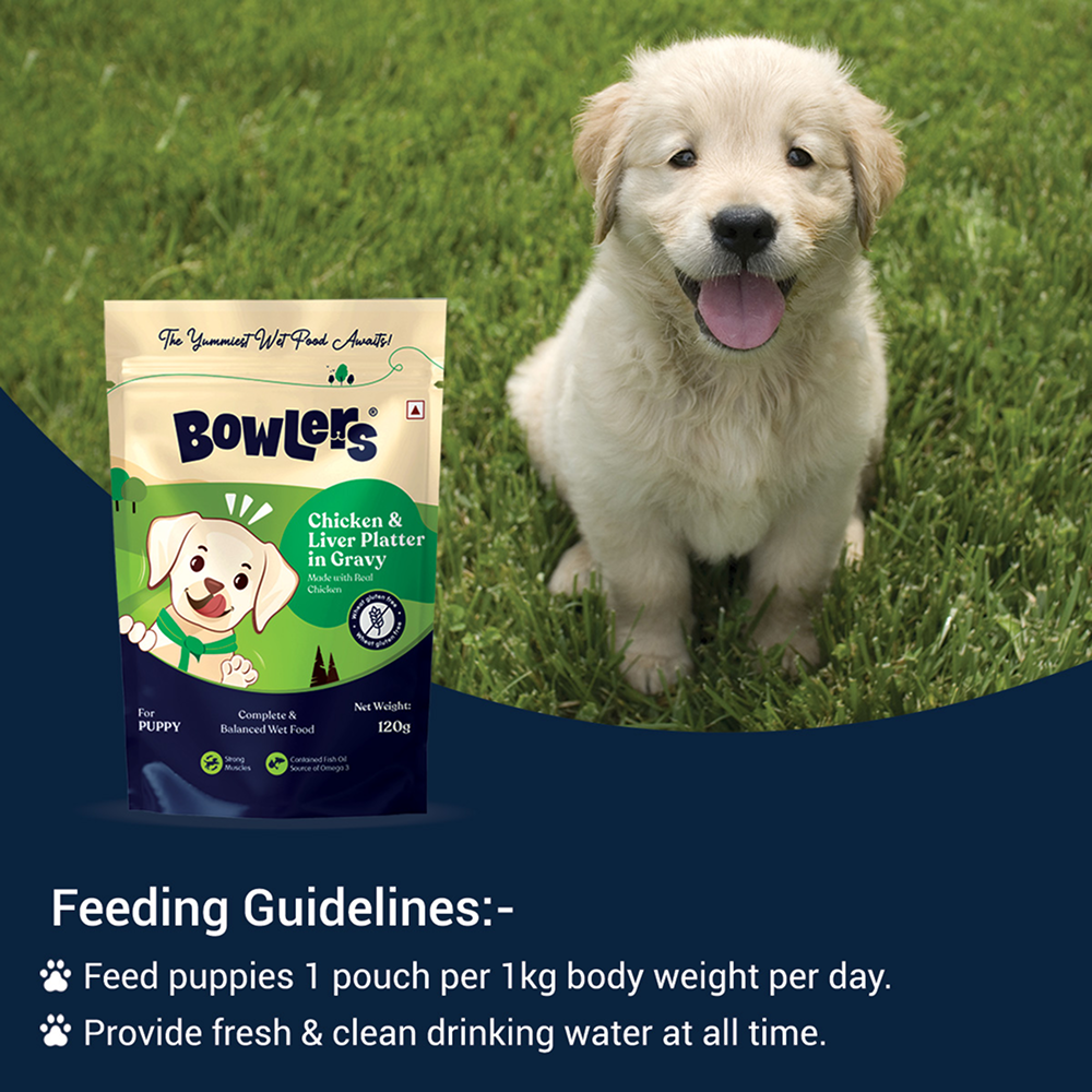 Bowlers Chicken & Milk Nutrimax Puppy Dog Dry and Chicken & Liver Recipe in Gravy Puppy Dog Wet Food Combo Exclusive Combo Bowlers