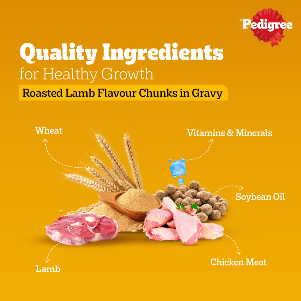 Pedigree Roasted Lamb Flavour Chunks in Gravy Adult Dog Wet Food