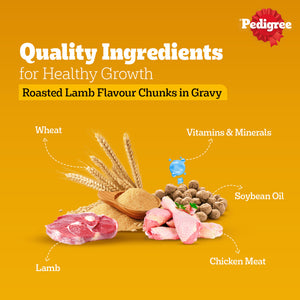 Pedigree Roasted Lamb Flavour Chunks in Gravy Adult Dog Wet Food