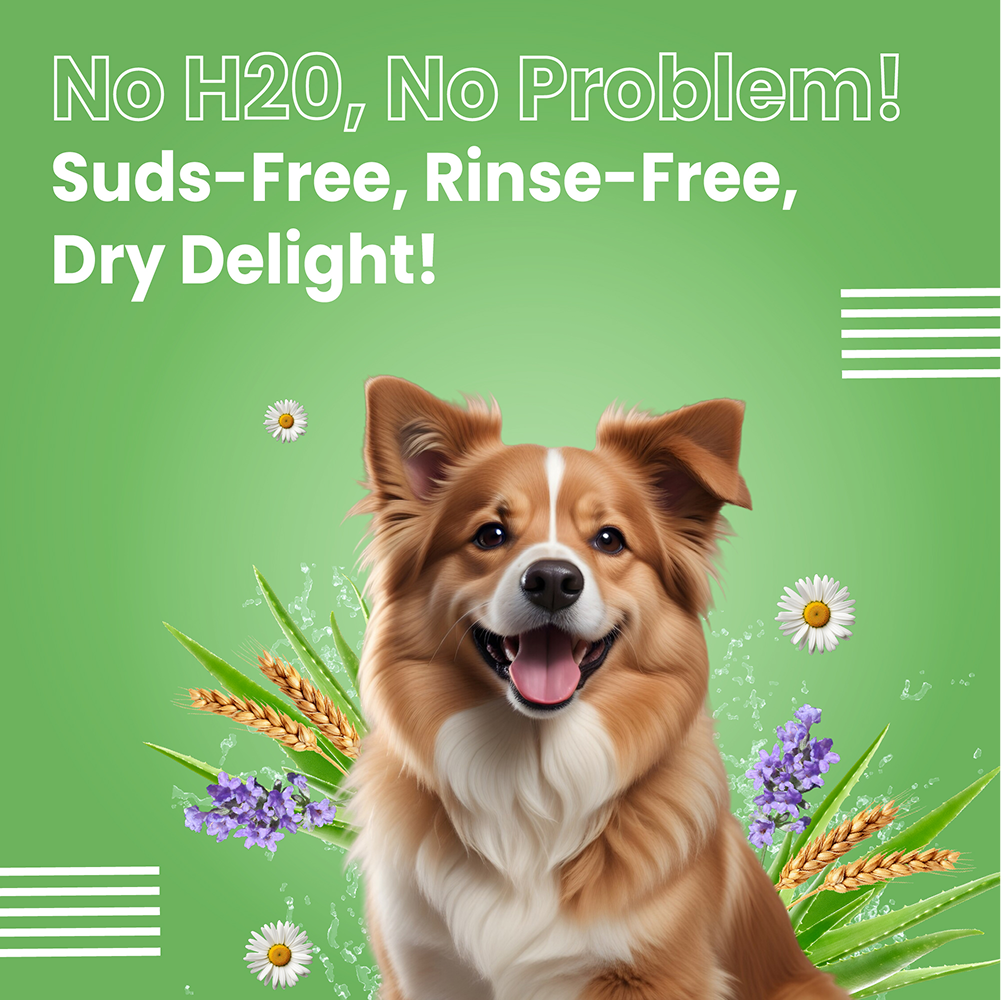Bark Out Loud No Mess Waterless Dry Shampoo for Dogs Both-Grooming Supplies Bark Out Loud