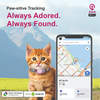 Mitag Go Anti Loss Device with Collar for Cats (Grey) | Android Cats-Collar, Leashes, harnesses Mitag Dropship