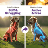 TailsAlive Hip & Joint Chicken Flavor Soft Chews Supplements for Dogs Dogs-Health & Wellness TailsAlive