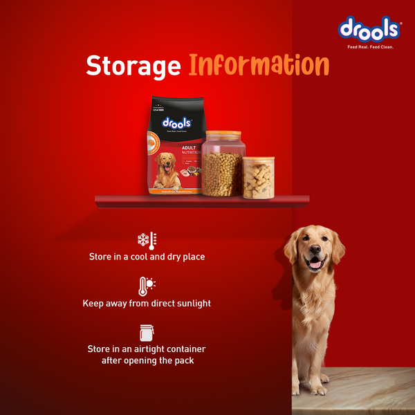 Drools Turkey and Pumpkin Adult Dog Dry Food