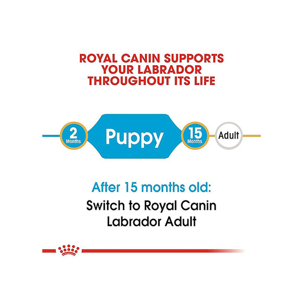 Royal Canin Labrador Retriever Puppy Dog Dry Food